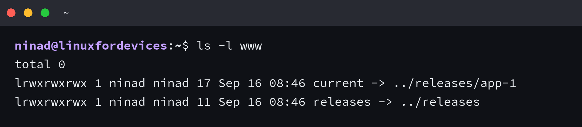 Terminal listing two symbolic links with the l type flag and their stored targets