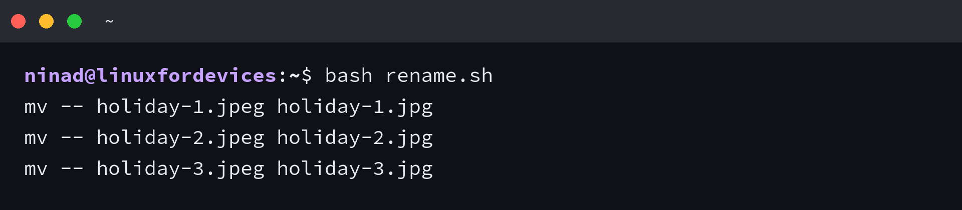 Terminal printing the planned mv commands for a batch JPEG rename before running them