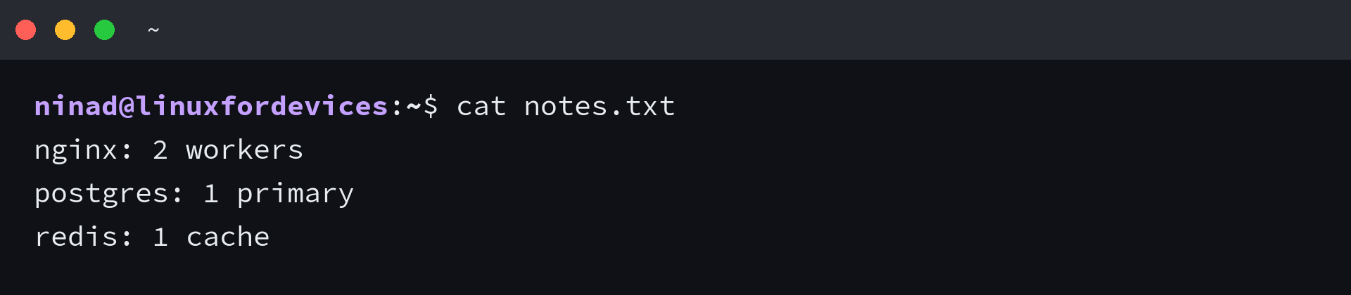 cat printing the contents of notes.txt