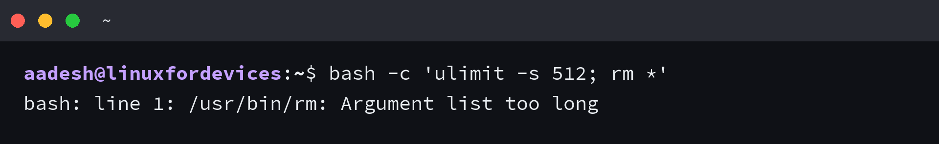 Terminal showing the argument list too long error from a shell glob