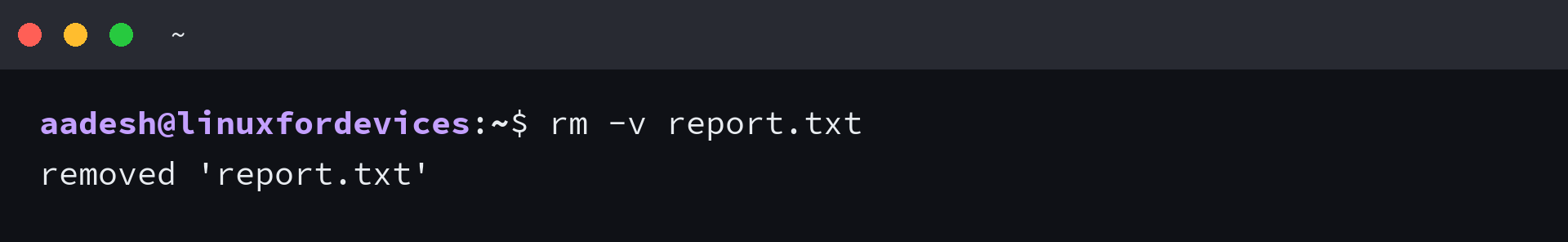 Terminal showing rm removing one of two names for the same file