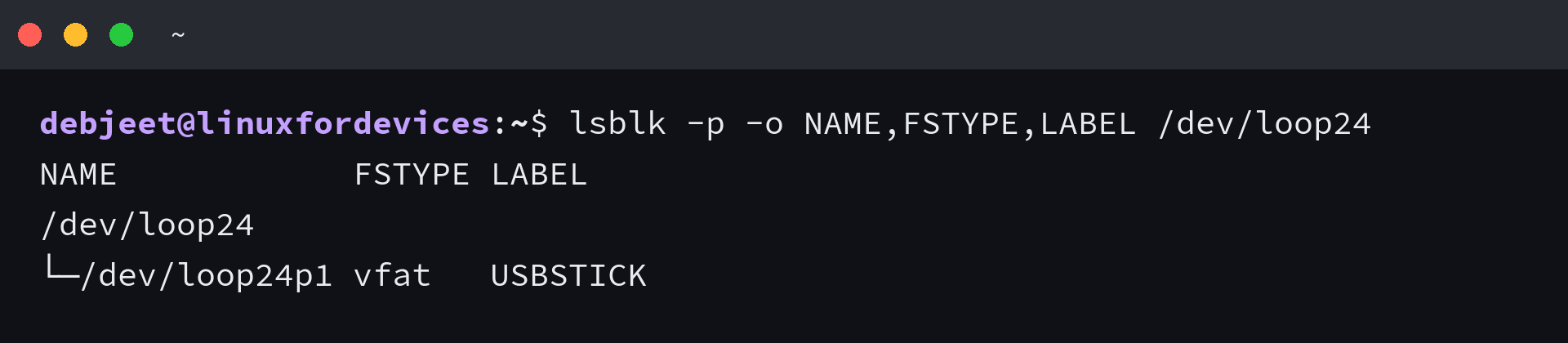 lsblk output for a USB drive showing the disk and its single FAT32 partition
