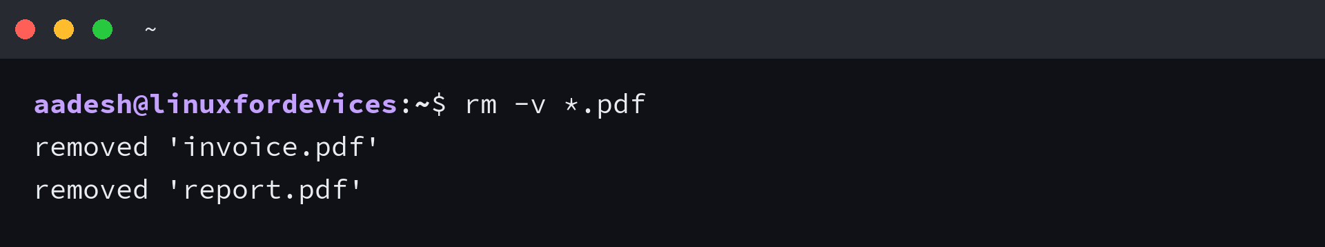 Terminal showing rm -v removing two PDF files through a shell glob