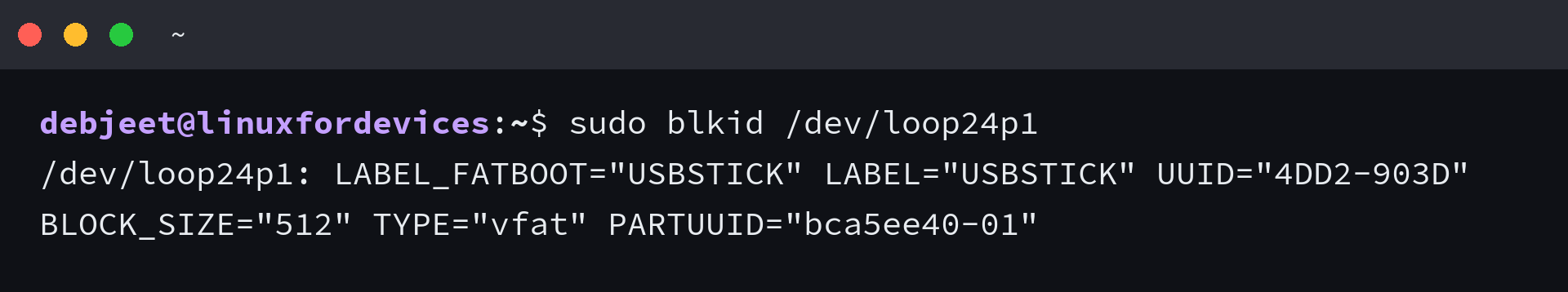 blkid output for a USB partition showing the FAT32 label, UUID and PARTUUID