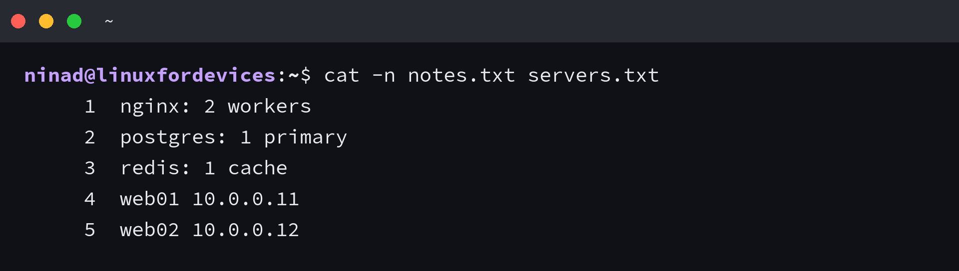 cat -n numbering every line of two files