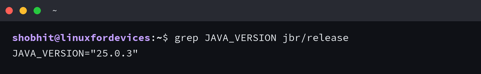 grep JAVA_VERSION jbr/release printing JAVA_VERSION 25.0.3