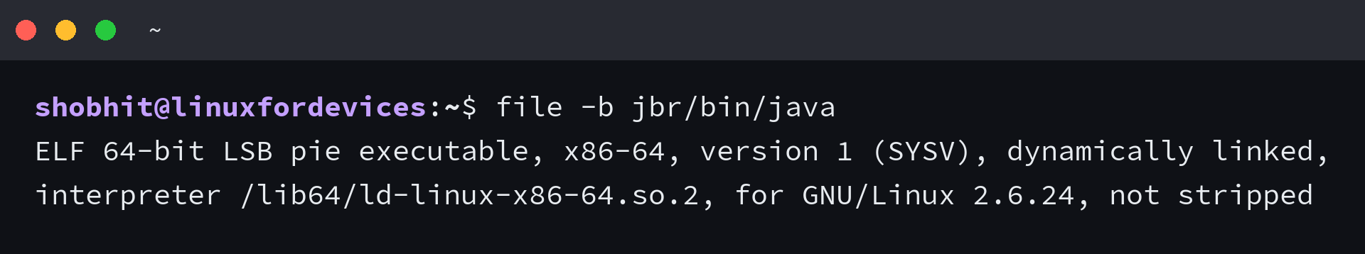 file -b jbr/bin/java reporting a 64-bit x86-64 ELF executable