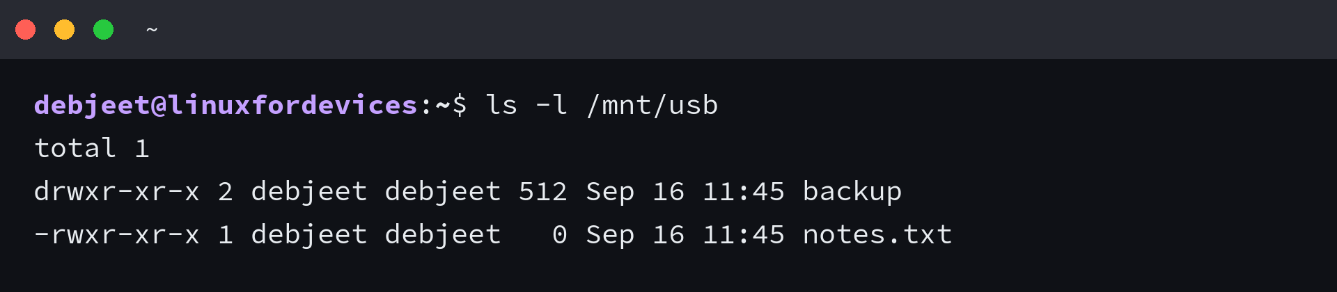 ls -l listing on a USB drive showing files owned by the login user after the uid mount option