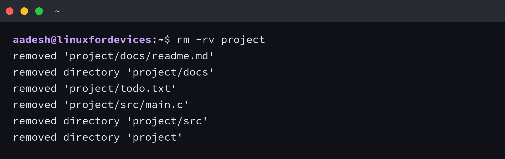 Terminal showing rm -rv removing a project directory from the files inside out