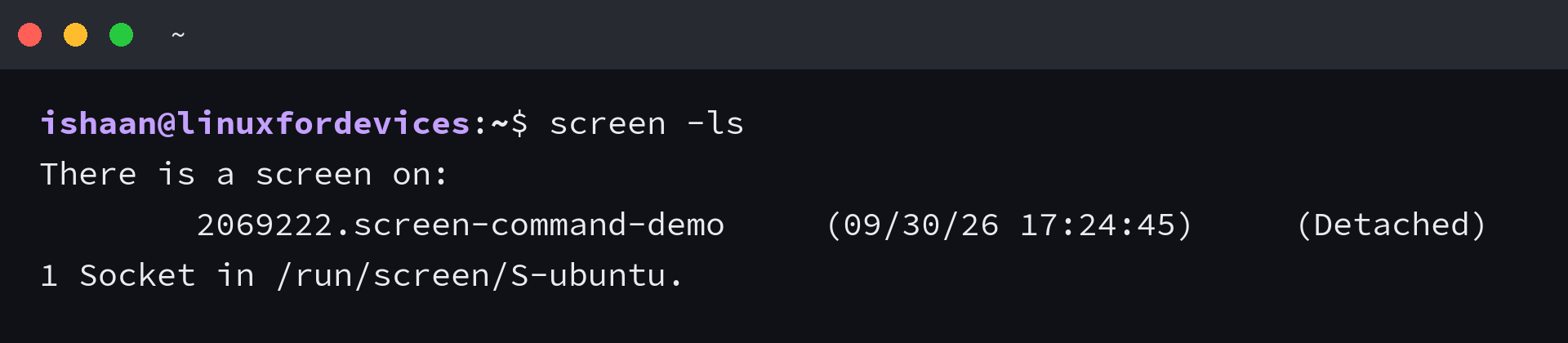 GNU Screen session listing with a named session marked Detached