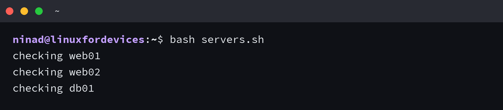 Terminal running a bash for loop over a word list, printing checking web01, web02 and db01