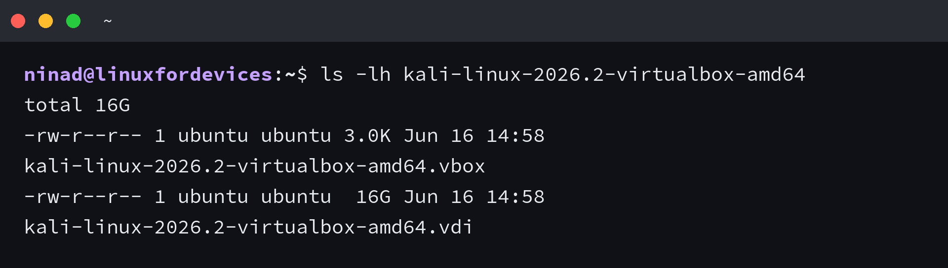 Terminal listing the extracted Kali VirtualBox image folder with the .vbox and 16 GB .vdi