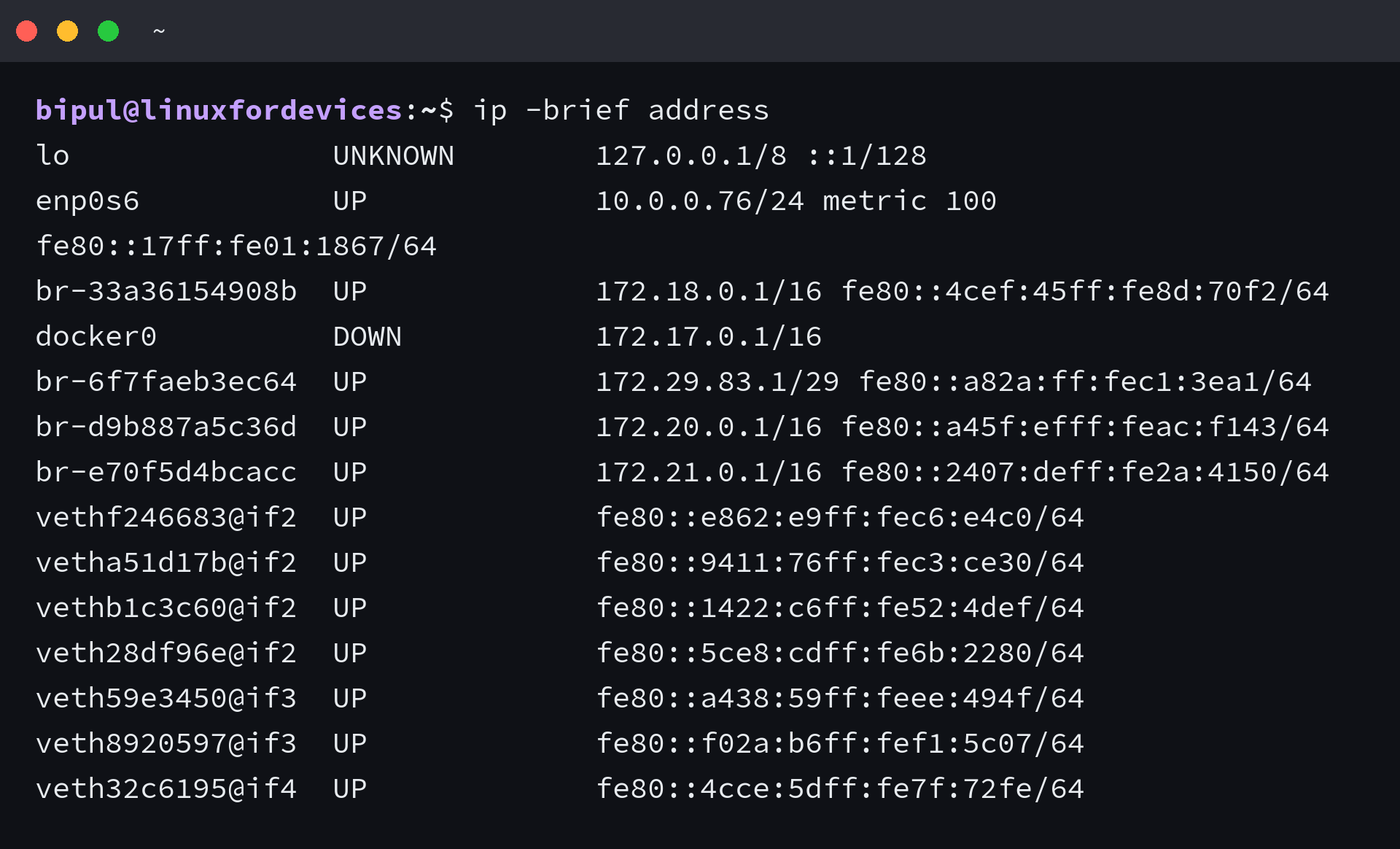 Terminal output of ip -brief address listing the loopback interface, the enp0s6 Ethernet interface, and container bridge and veth interfaces