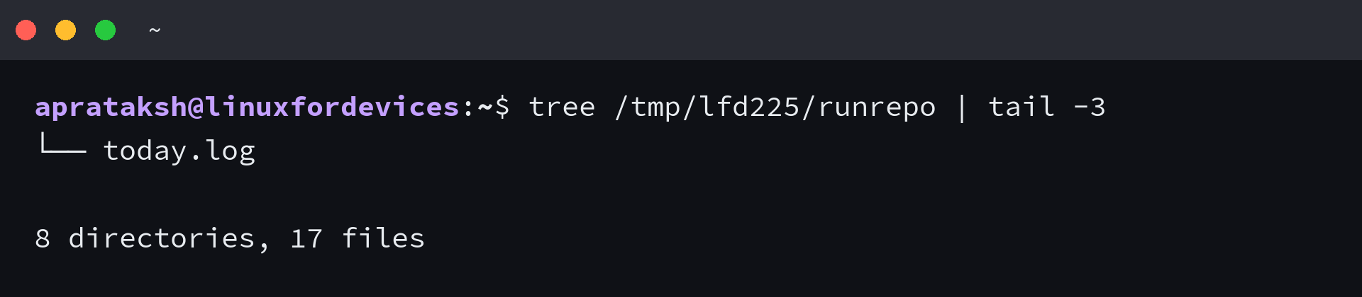 tree summary line showing 8 directories and 17 files in the example directory
