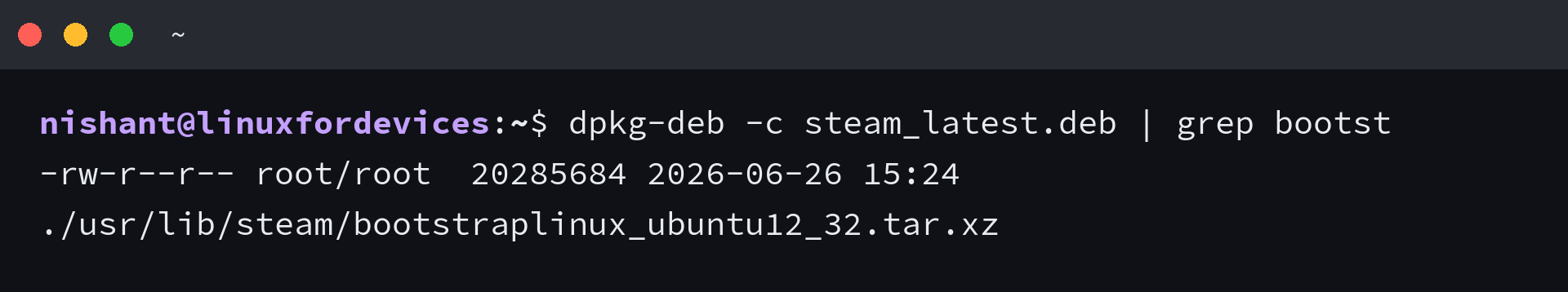 Terminal listing showing the bootstraplinux_ubuntu12_32.tar.xz payload inside the Steam launcher package