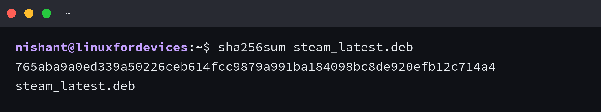 Terminal output of sha256sum on the downloaded Steam launcher package