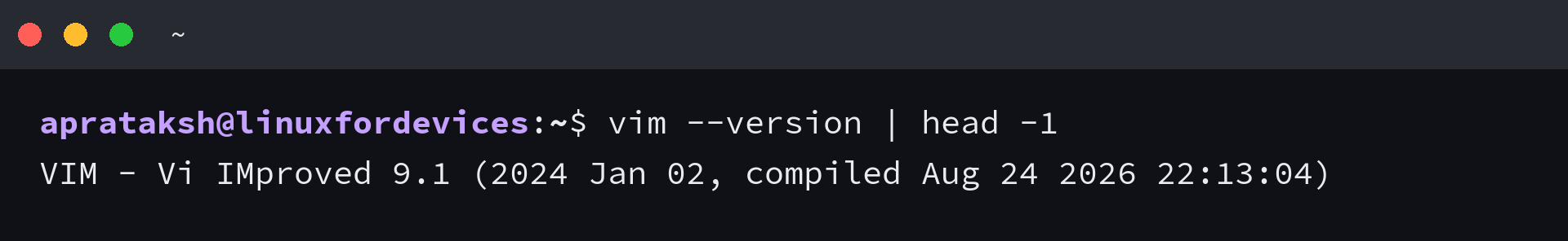 Terminal output of vim --version showing Vim 9.1