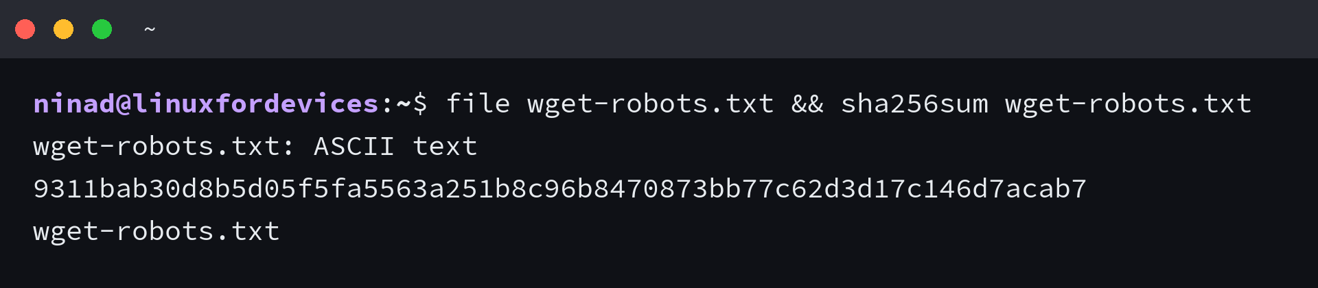 file identifies wget-robots.txt as ASCII text and prints its SHA-256 digest