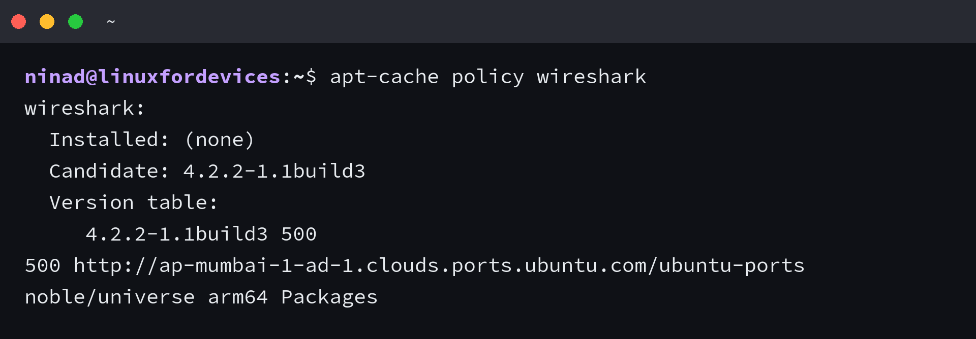 APT package candidate output for Wireshark from Ubuntu Noble arm64