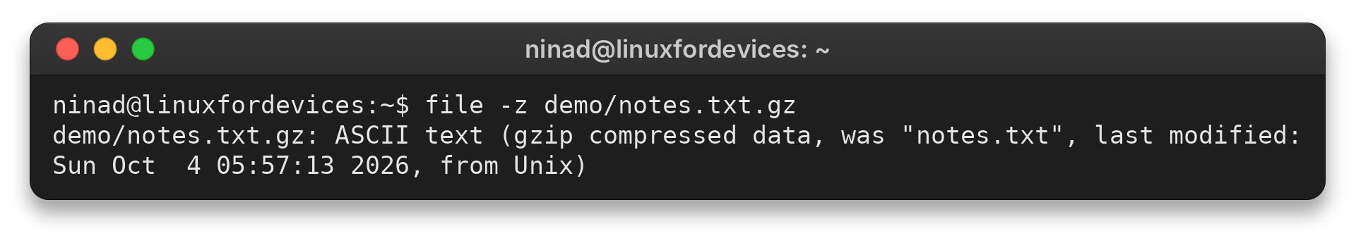 file -z output identifying compressed text content and gzip details