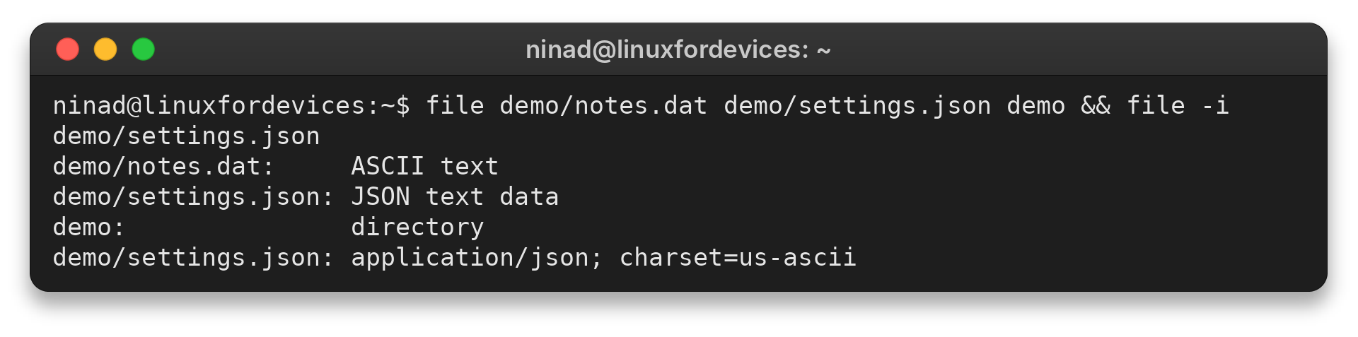 Terminal output identifying a text file, JSON data and directory, plus its MIME type