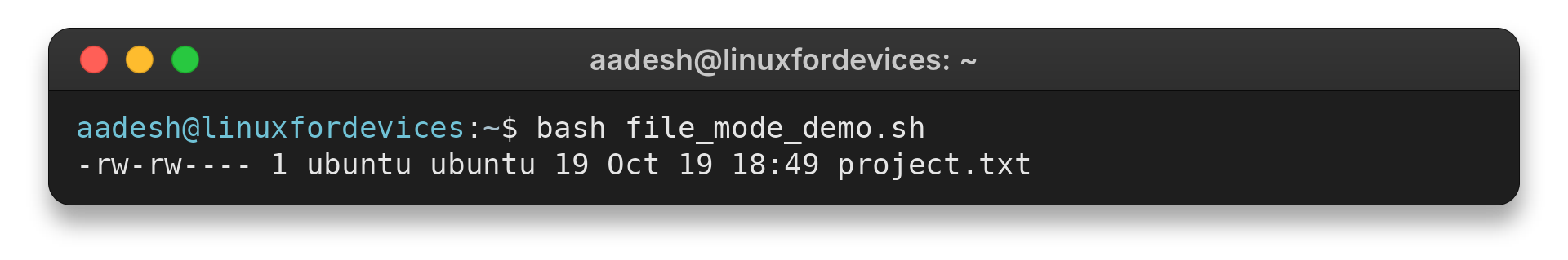 Terminal output showing project.txt with owner and group read-write permissions