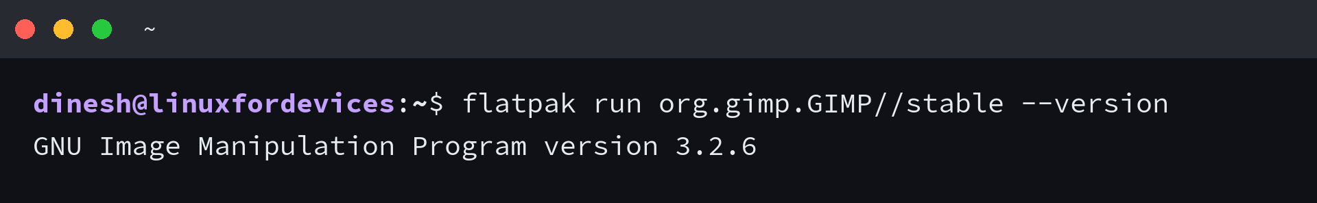 Terminal output showing GIMP version 3.2.6