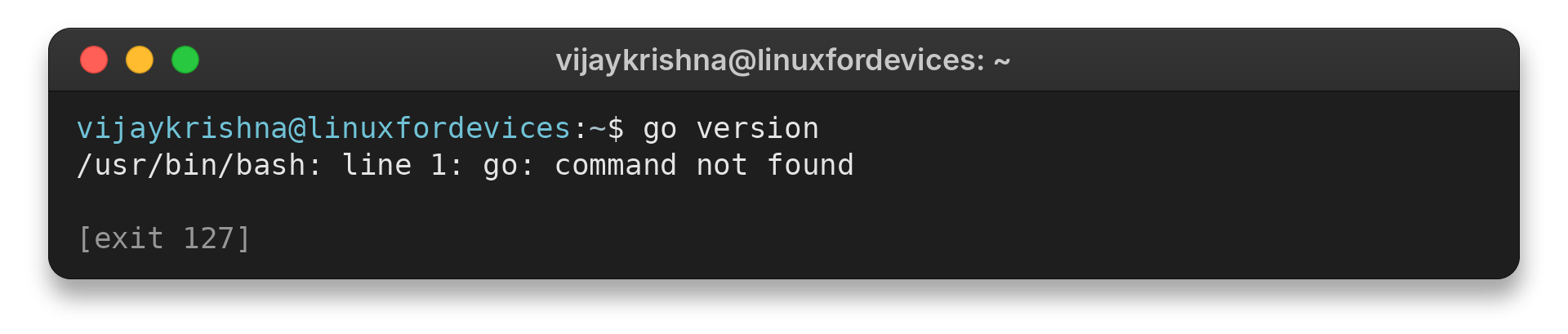 Go version command returning command not found