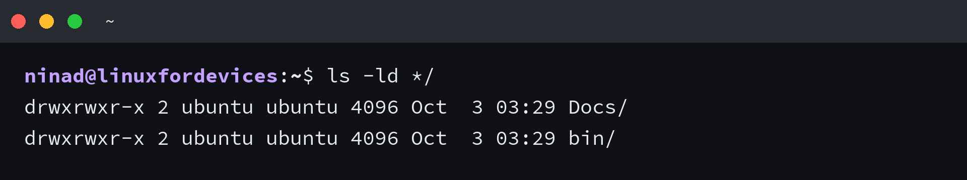 Terminal output of ls -ld */ showing the Docs and bin directories themselves