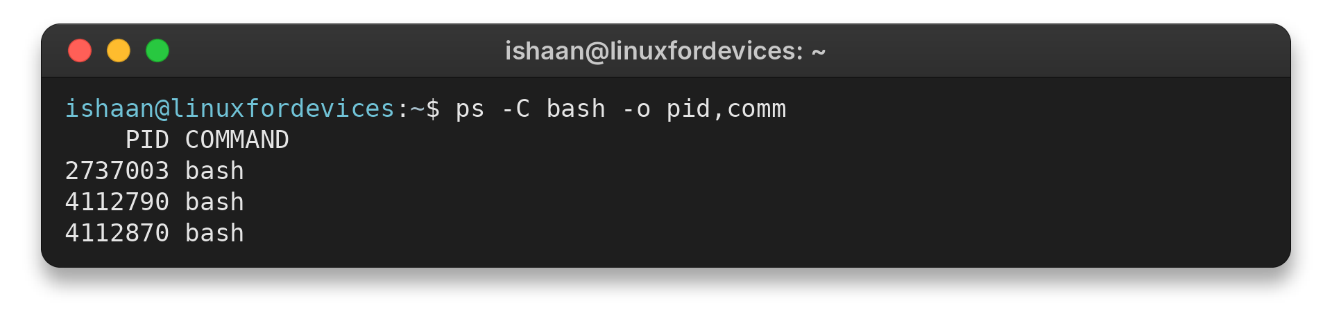 Terminal output from ps listing bash process IDs